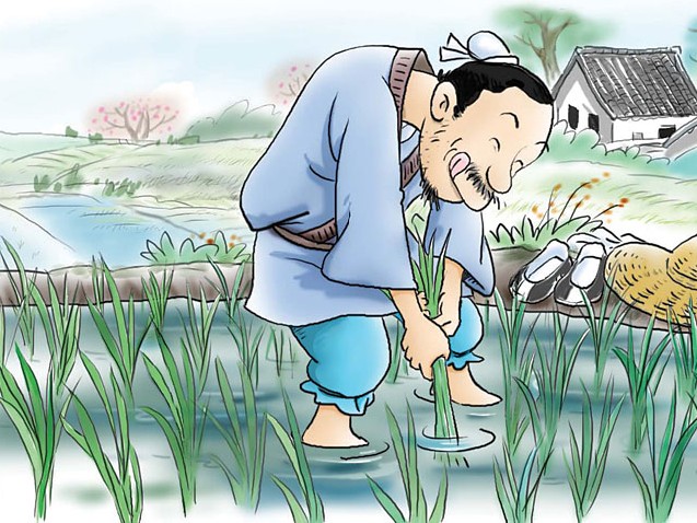 不会种,偏要种